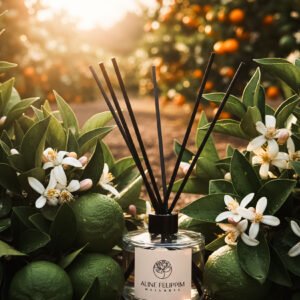 Difusor de Ambiente Valência 240ml